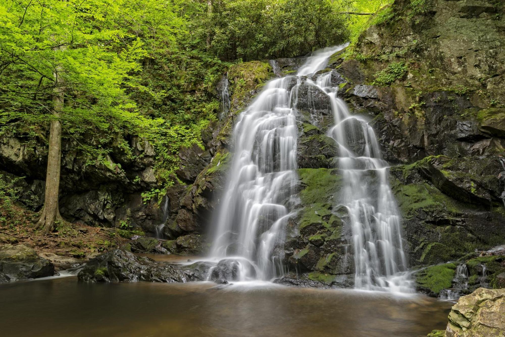A Stones Throw, You Get 1089 Free Attraction Tickets Per Paid Day, Dollywood And Much More! Pigeon Forge Bagian luar foto